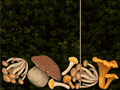 Merge Mushroom
