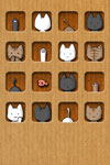 Wallpaper:Cat Cardboard